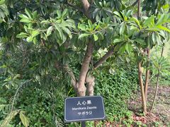 -厦门悦华酒店