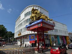 -马六甲鸡场街