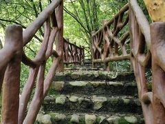 -广州市石门国家森林公园