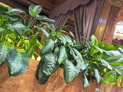 -龙泉人椰子鸡·糟粕醋·地标海南菜(龙昆南店)