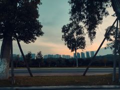 -张坝桂圆林公园