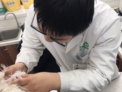-心仪动物医院·牙专科·肿瘤·心脏科(西客站院)
