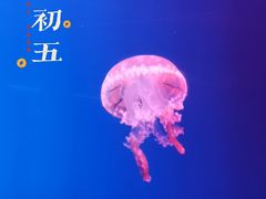 -福州罗源湾海洋世界旅游区