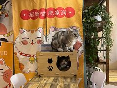 -小时光咖啡馆(北锣鼓巷店)