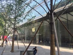 -Apple零售店(华贸购物中心店)