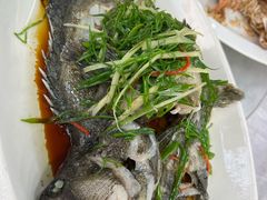 -众味海鲜大排档·活海鲜·潮汕味(南澳店)