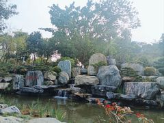 -东莞植物园