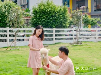 深圳情侣约会圣地｜和小动物们一起过国庆呀