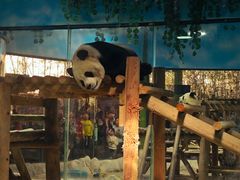 -栾川竹海野生动物园