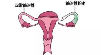 -邢台妇产医院