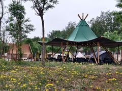 -Walker萌宠露营(大明骑士驿站店)