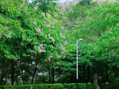 -水濂山森林公园