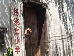 -杨家堂村