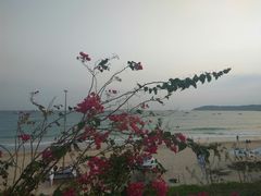 -亚龙湾海底世界