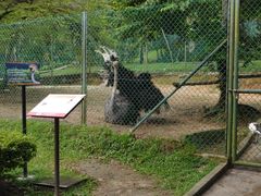 -吉隆坡雀鸟公园