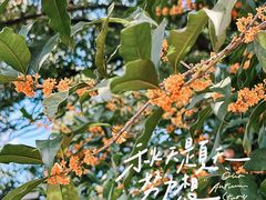 -仓桥直街