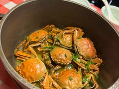 小霸王螃蟹-好爸爸(印象城旗舰店)