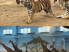 -泉城欧乐堡梦幻世界