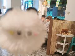 -五星桥原切肥牛火锅(怀德桥店)