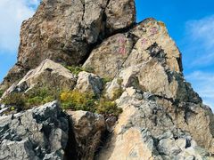 -白草畔自然风景区