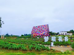 -紫颐香薰山谷景区