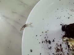 -巴黎贝甜(红梅店)