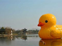 -杭州湾海上花田景区