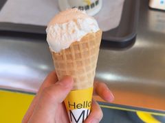 -研麻所·花椒冰淇淋(太古里店)