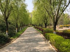 -云岗森林公园