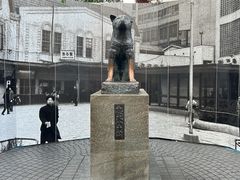 -涩谷全向十字路口
