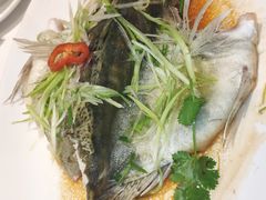 清蒸桂花鱼-粥旺庄(芳村店)