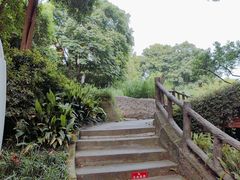 -成都市活水公园