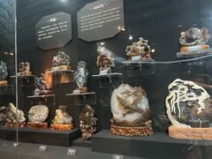 -烟台自然博物馆