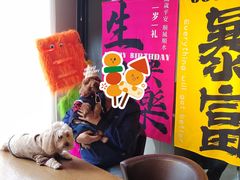 -百好乐宠物友好餐厅(朝外大街店)