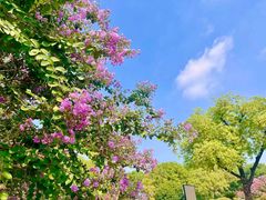 -杭州城北体育公园