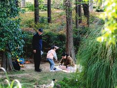 -月湖风景区