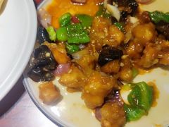 -邵年鸽(杨庄店)