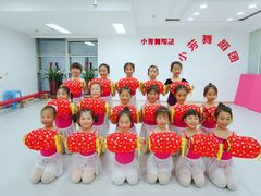 -小芳舞蹈团·少儿舞蹈·中国舞(龙江校区)
