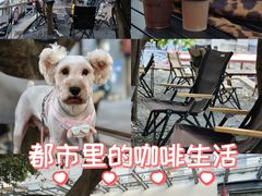 -TOKTOK精酿啤酒·咖啡(荔枝湾店)