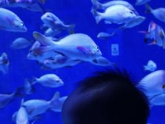 -成都浩海立方海洋公园