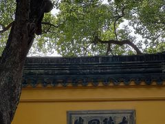 -西园戒幢律寺