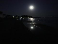-海滨浴场