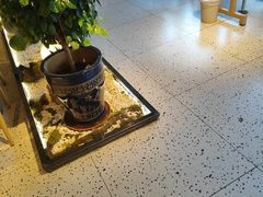 -奉天宴遇烧烤·冒锅