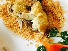大漠风沙鸡-田园小观园(武大店)