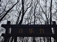 -音乐台