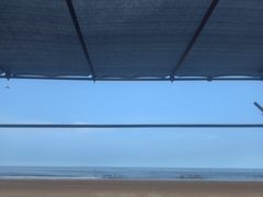 -日照海滨国家森林公园