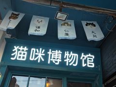 -猫咪博物馆(顶澳仔猫街店)