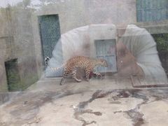 iphone_upload_pic-西安秦岭野生动物园