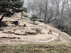 -北京野生动物园