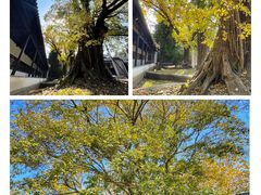 -苏州碑刻博物馆